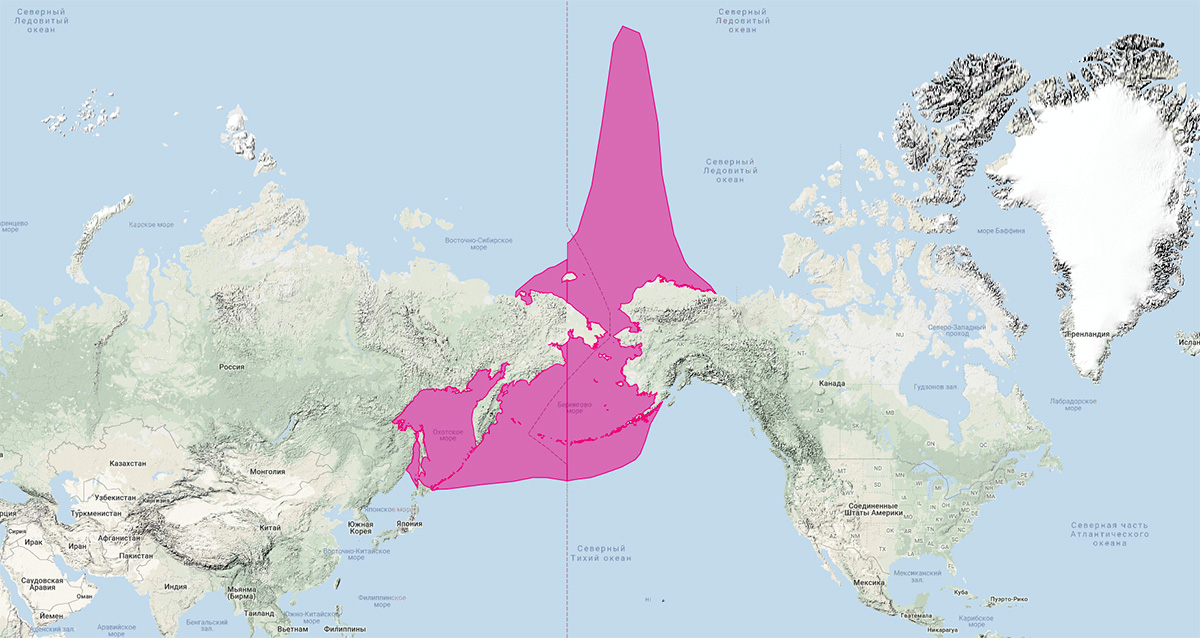 Полосатый тюлень (Histriophoca fasciata) Ареал обитания на карте