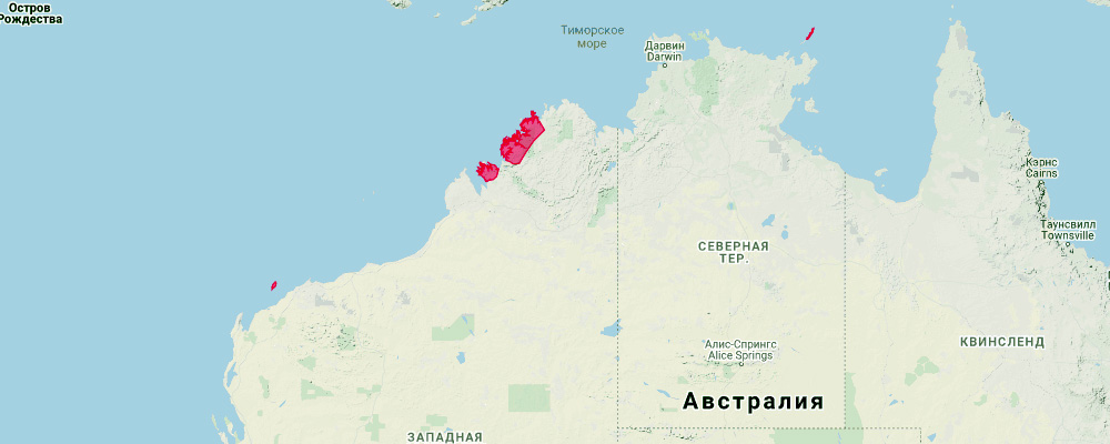 Золотистый бандикут (Isoodon auratus) Ареал обитания на карте