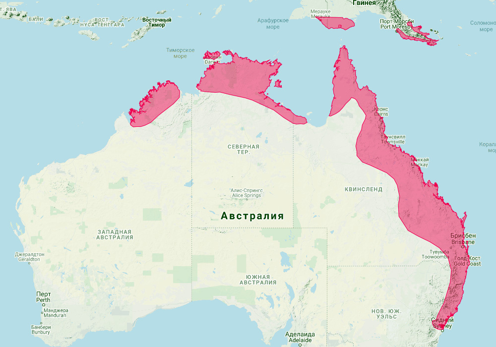 Большой бандикут (Isoodon macrourus) Ареал обитания на карте
