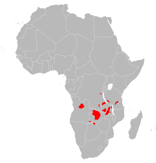 Kobus vardonii Ареал обитания на карте