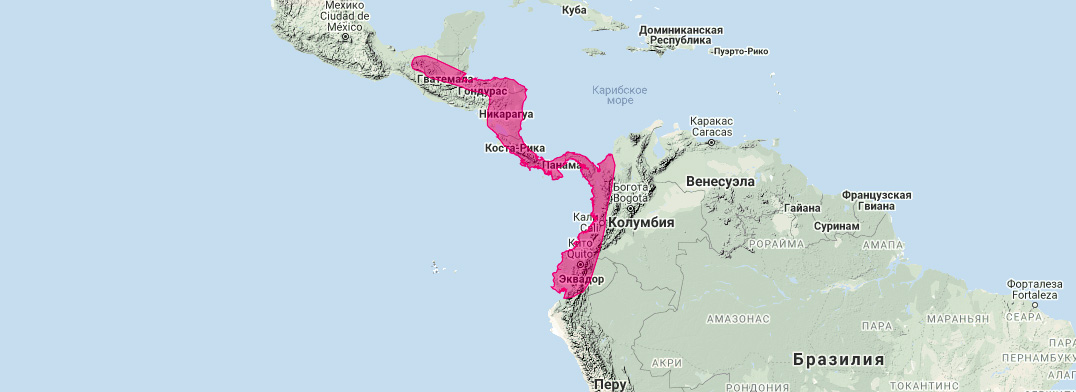 Бурый длинноязыкий листонос (Lichonycteris obscura) Ареал обитания на карте