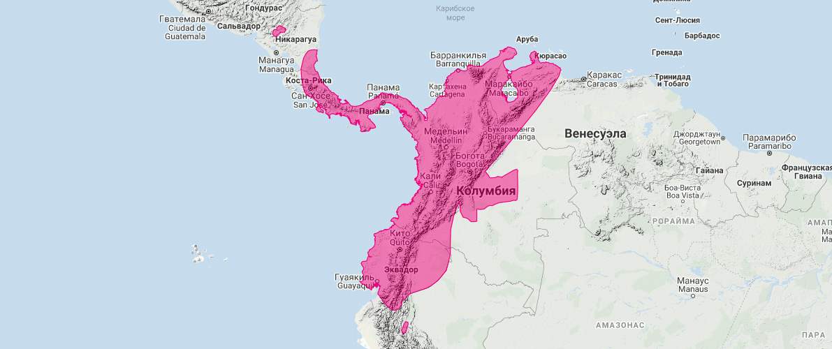 Панамский копьенос (Lonchophylla robusta) Ареал обитания на карте