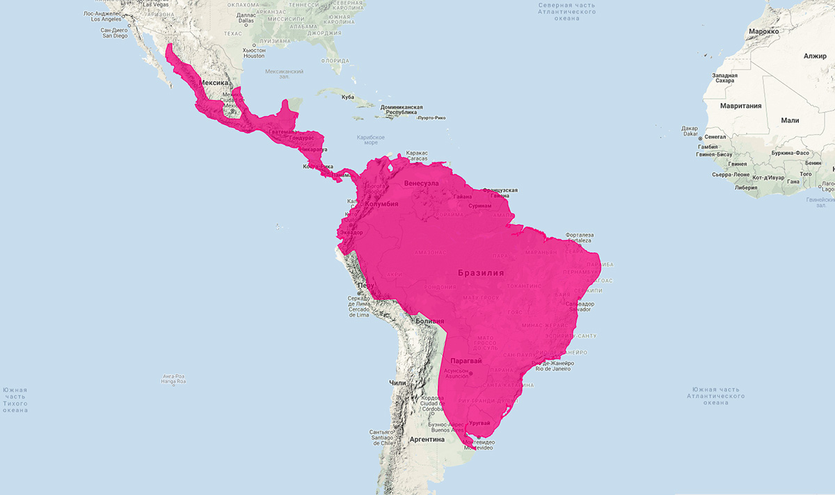 Длиннохвостая выдра (Lontra longicaudis) Ареал обитания на карте