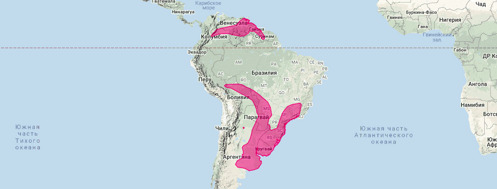 Толстохвостый опоссум (Lutreolina crassicaudata) Ареал обитания на карте