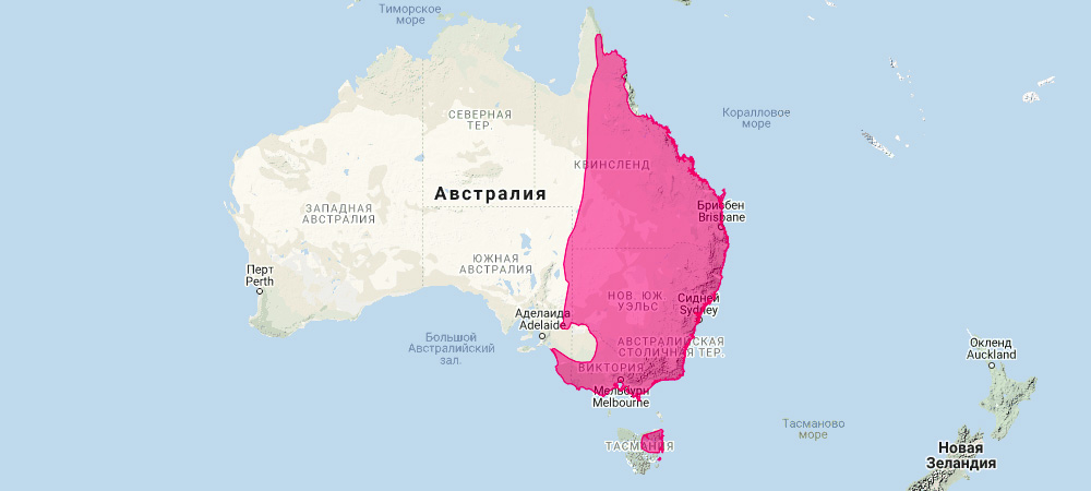 На каком материке находится кенгуру. Ареал обитания кенгуру. Места обитания кенгуру в Австралии. Карта обитания кенгуру. Кенгуру на карте Австралии.