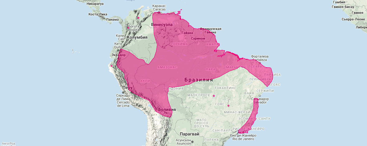 Карликовый мышевидный опоссум (Marmosa murina) Ареал обитания на карте