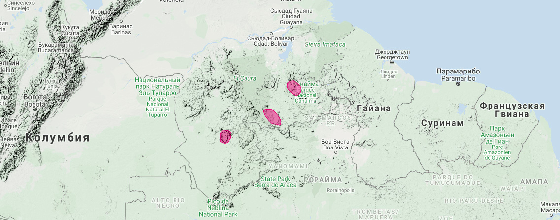 Венесуэльский опоссум (Marmosa tyleriana) Ареал обитания на карте