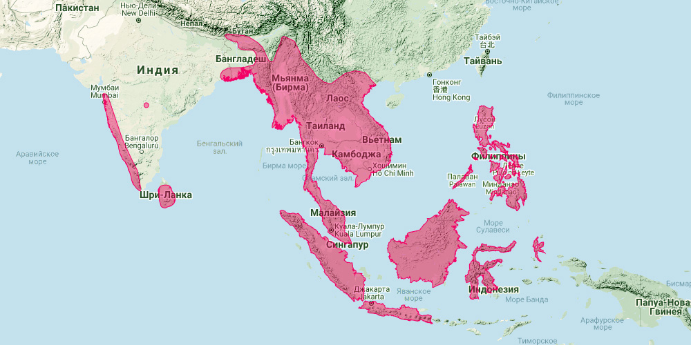 Малайский ложный вампир (Megaderma spasma) Ареал обитания на карте