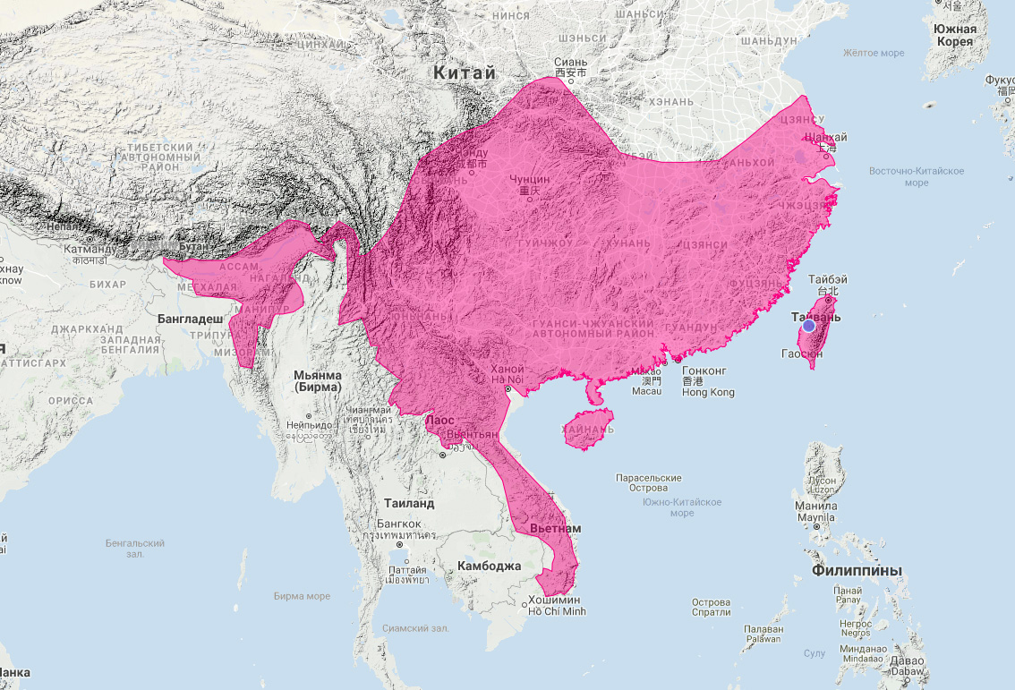 Китайский барсук (Melogale moschata) Ареал обитания на карте