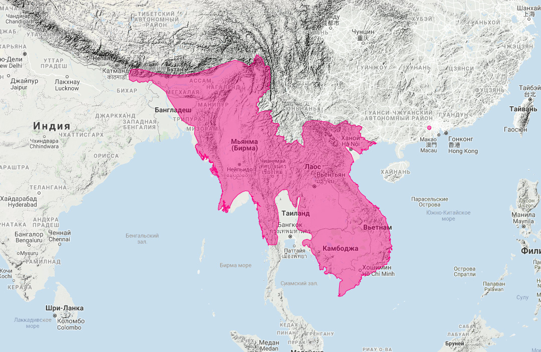 Бирманский барсук (Melogale personata) Ареал обитания на карте