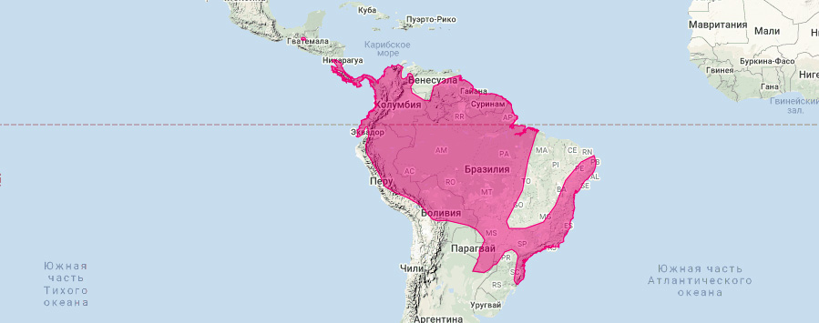 Бурый четырёхглазый опоссум (Metachirus nudicaudatus) Ареал обитания на карте