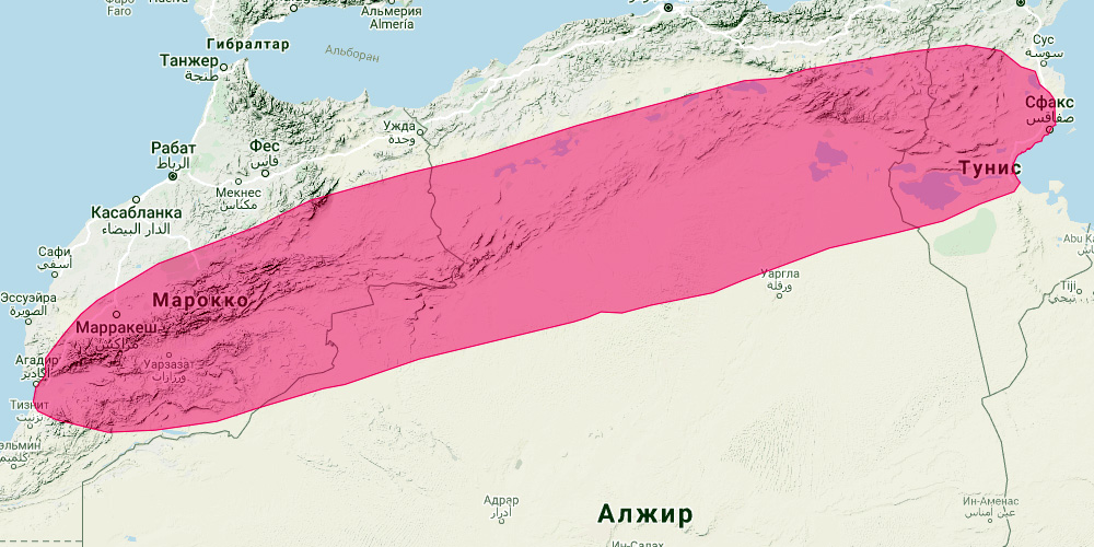 Магрибский длиннокрыл (Miniopterus maghrebensis) Ареал обитания на карте