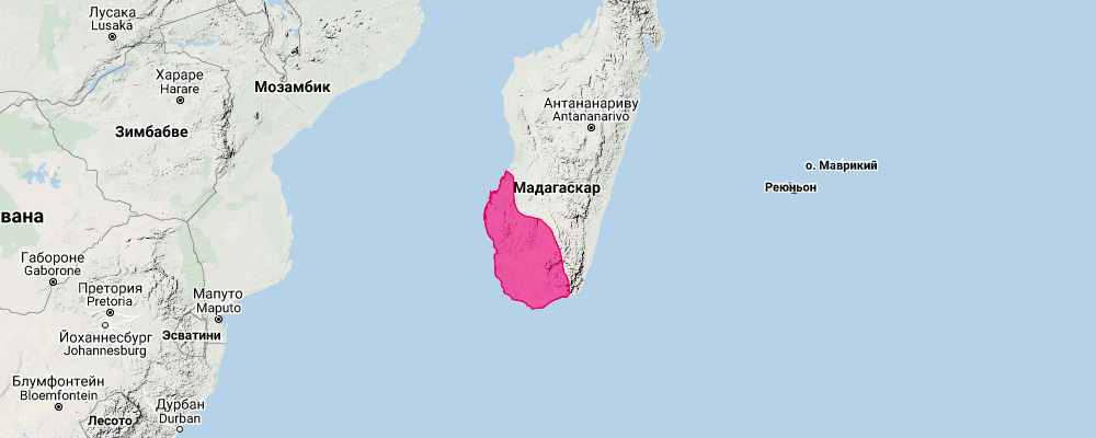 Mahafaly Long-Fingered Bat (Miniopterus mahafaliensis) Ареал обитания на карте