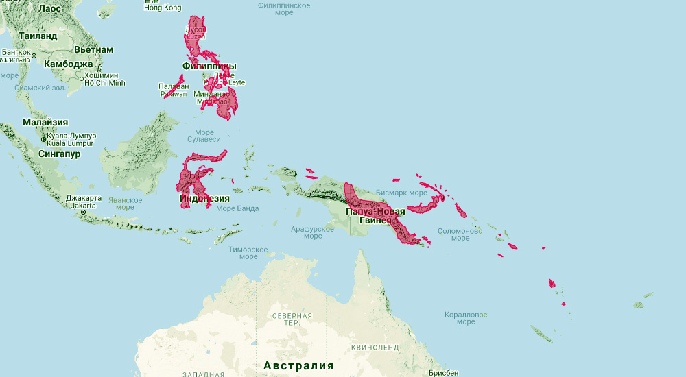 Новогвинейский длиннокрыл (Miniopterus tristis) Ареал обитания на карте