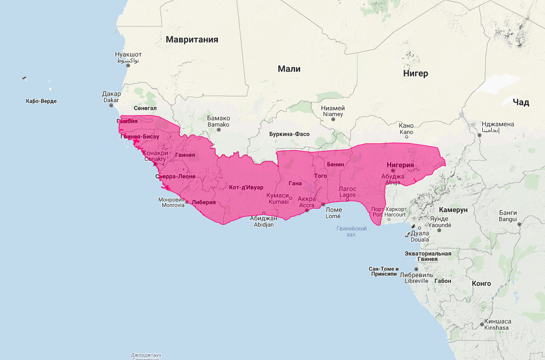 Гамбийский мангуст (Mungos gambianus) Ареал обитания на карте