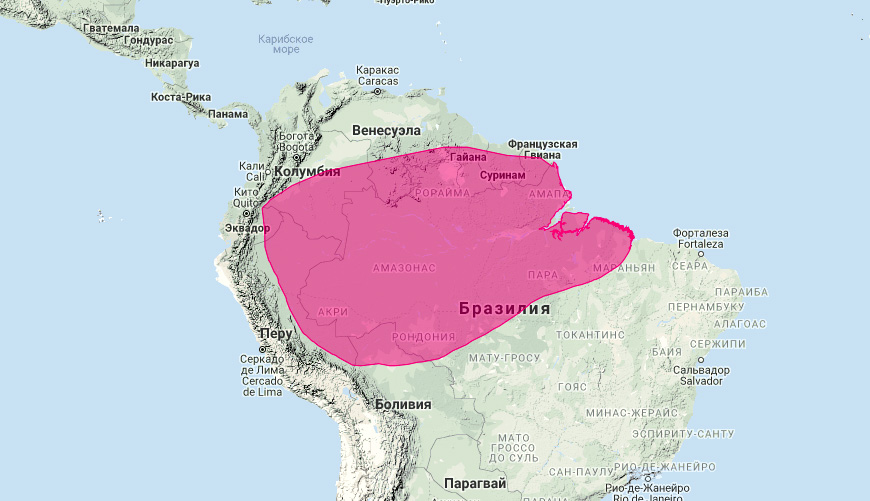 Амазонская ласка (Mustela africana) Ареал обитания на карте