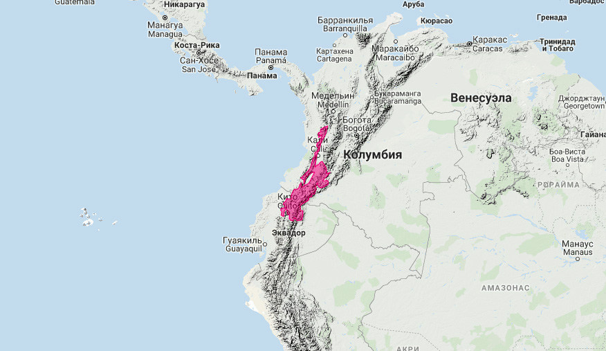 Колумбийская ласка (Mustela felipei) Ареал обитания на карте