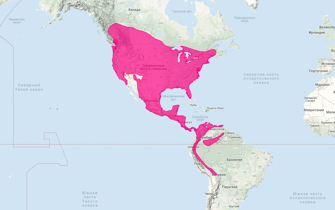 Длиннохвостая ласка (Mustela frenata) Ареал обитания на карте