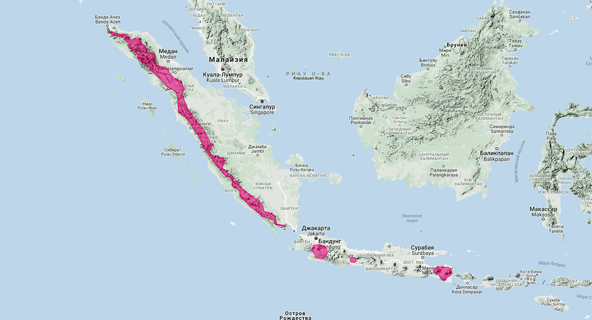 Яванский колонок (Mustela lutreolina) Ареал обитания на карте