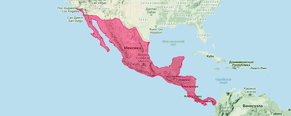 Мексиканский воронкоух (Natalus mexicanus) Ареал обитания на карте