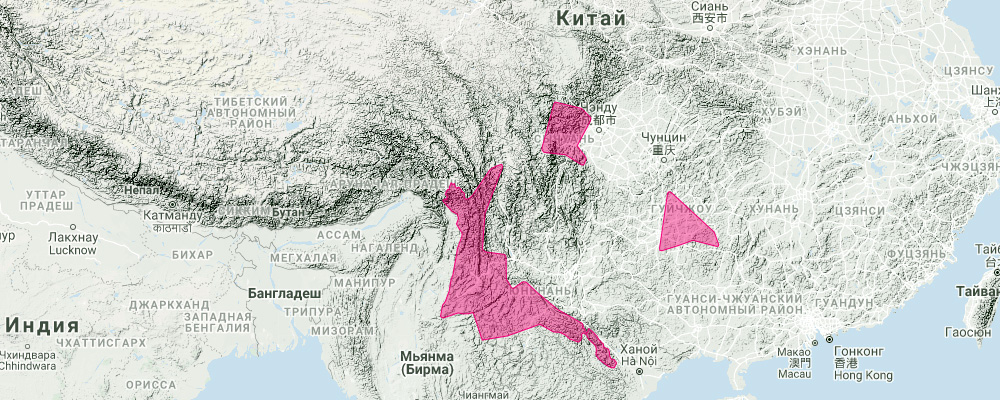 Землеройковый ёж (Neotetracus sinensis) Ареал обитания на карте