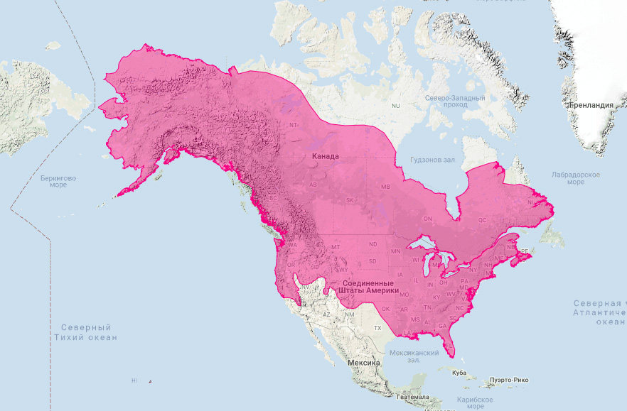 Американская норка (Neovison vison) Ареал обитания на карте
