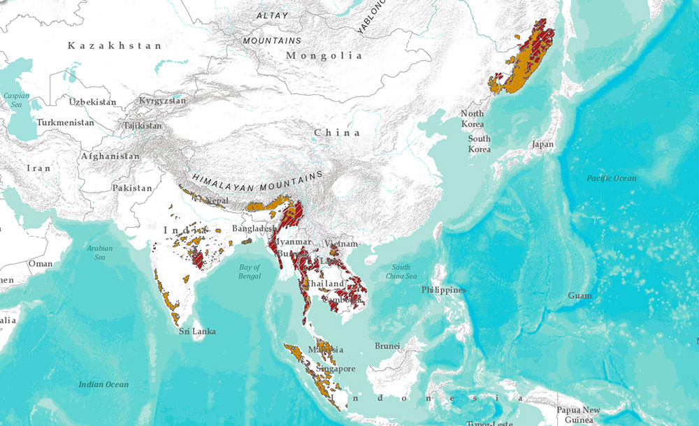 Амурский тигр карта обитания