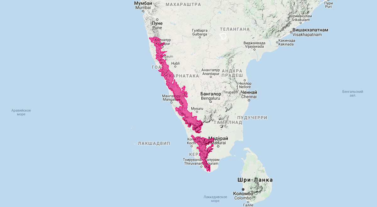 Южноиндийский мусанг (Paradoxurus jerdoni) Ареал обитания на карте