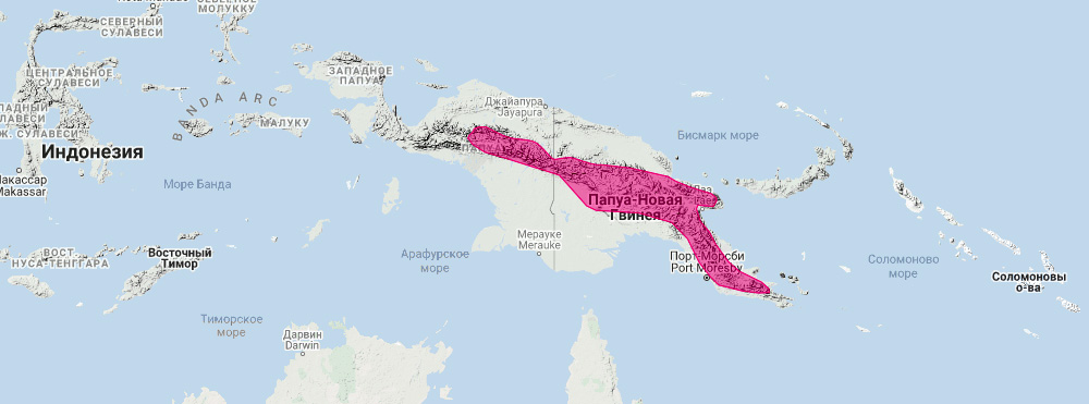 Горный кускус (Phalanger carmelitae) Ареал обитания на карте