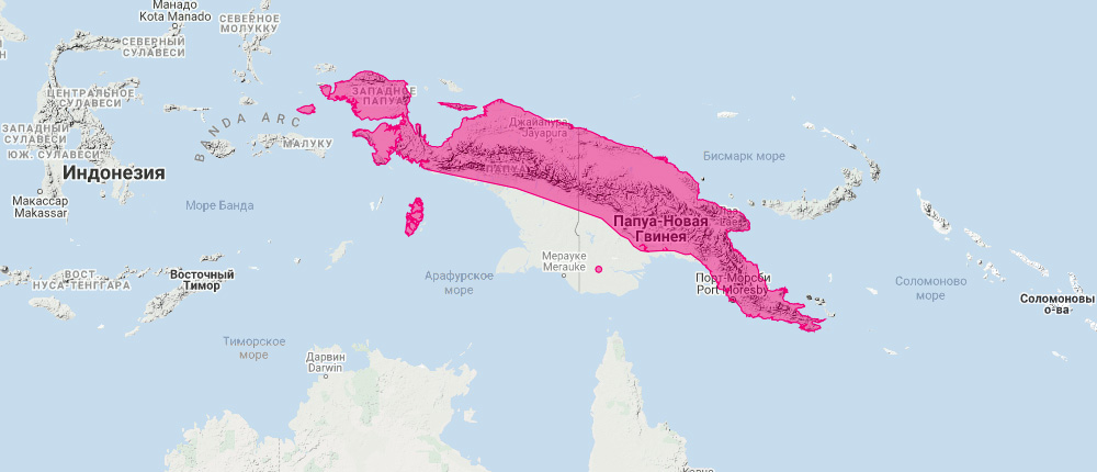 Одноцветный кускус (Phalanger gymnotis) Ареал обитания на карте