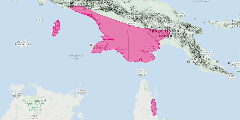 Южный обыкновенный кускус (Phalanger mimicus) Ареал обитания на карте