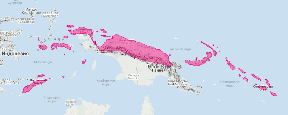 Пушистый кускус (Phalanger orientalis) Ареал обитания на карте