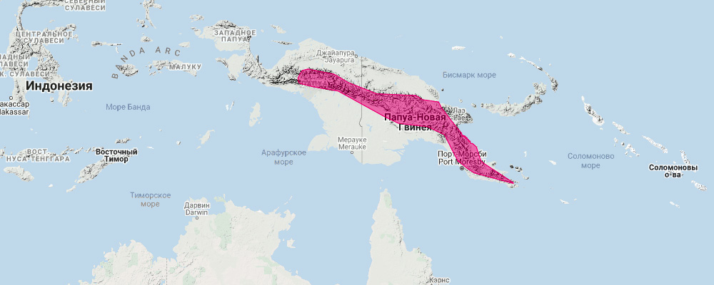 Шёлковый кускус (Phalanger sericeus) Ареал обитания на карте