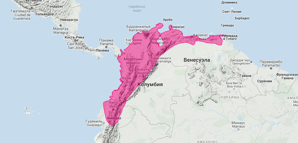 Эквадорский широконос (Platyrrhinus dorsalis) Ареал обитания на карте