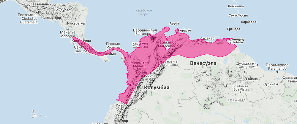 Большой широконос (Platyrrhinus vittatus) Ареал обитания на карте