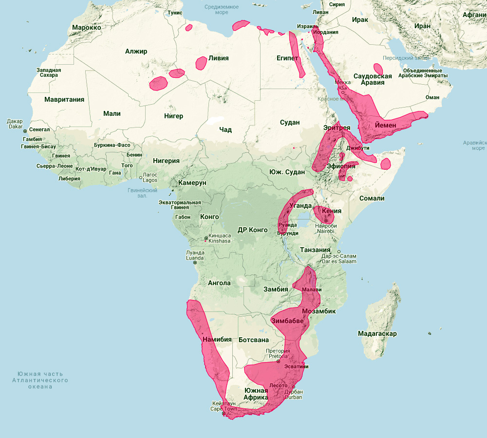 Подковонос Жоффруа (Rhinolophus clivosus) Ареал обитания на карте