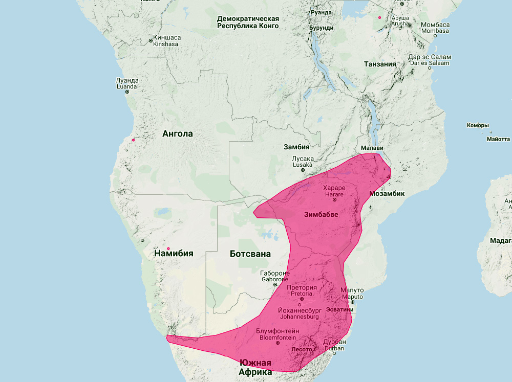 Подковонос Дарлинга (Rhinolophus darlingi) Ареал обитания на карте