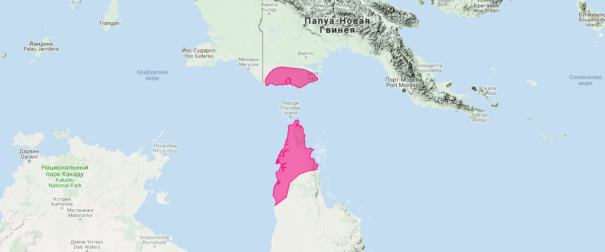 Новогвинейский мешкокрыл (Saccolaimus mixtus) Ареал обитания на карте