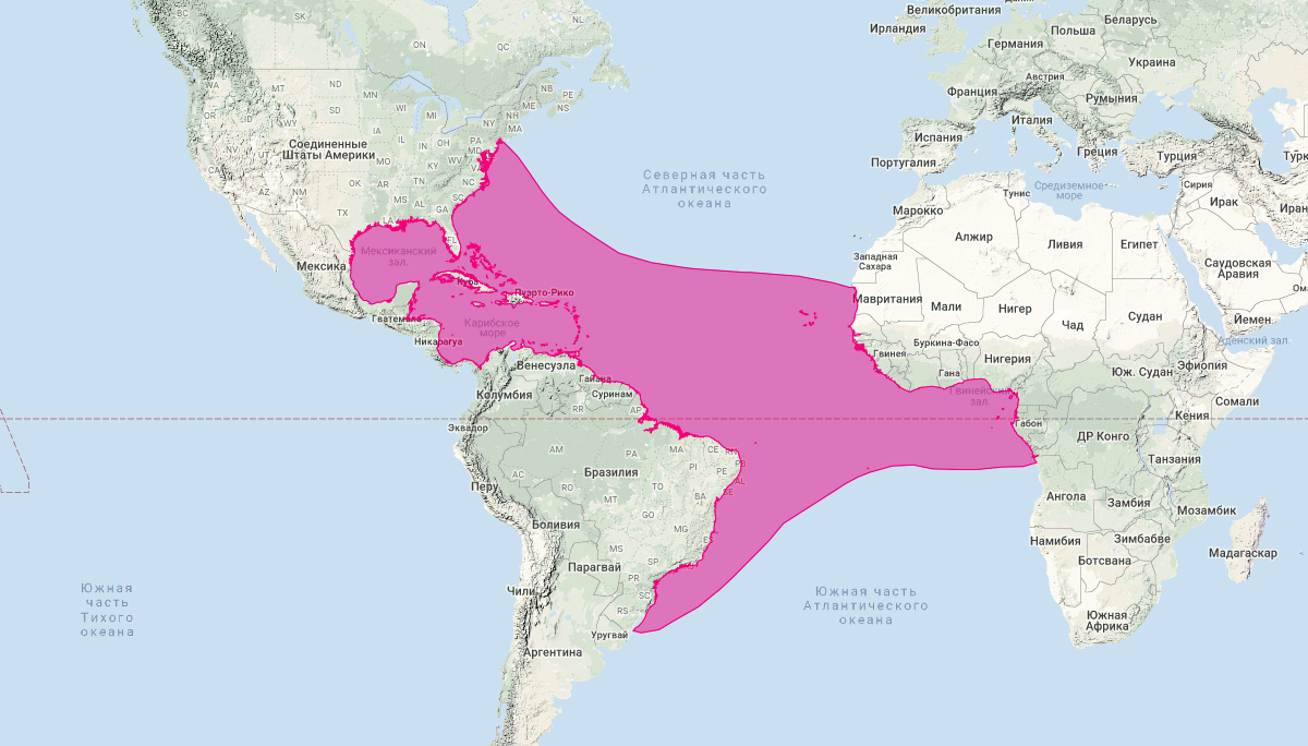 Короткорылый продельфин (Stenella clymene) Ареал обитания на карте
