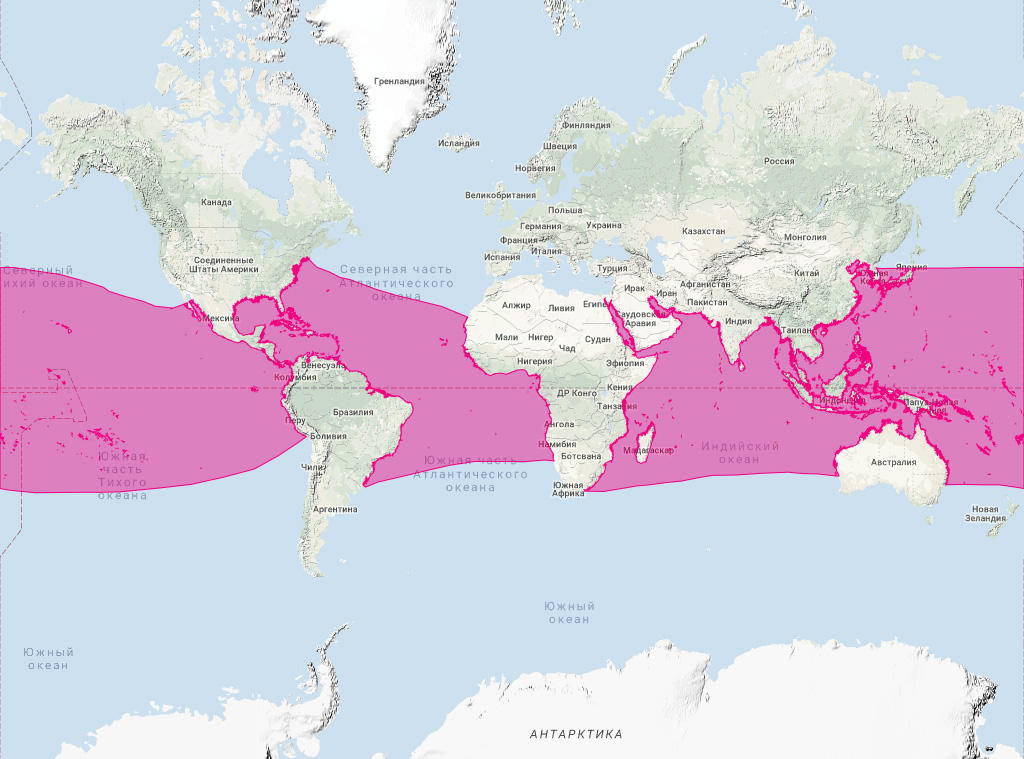 Длиннорылый продельфин (Stenella longirostris) Ареал обитания на карте