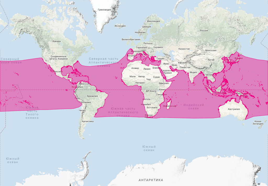 Крупнозубый дельфин (Steno bredanensis) Ареал обитания на карте