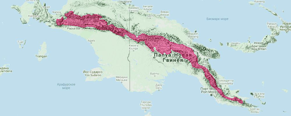 Куборский складчатогуб (Tadarida kuboriensis) Ареал обитания на карте