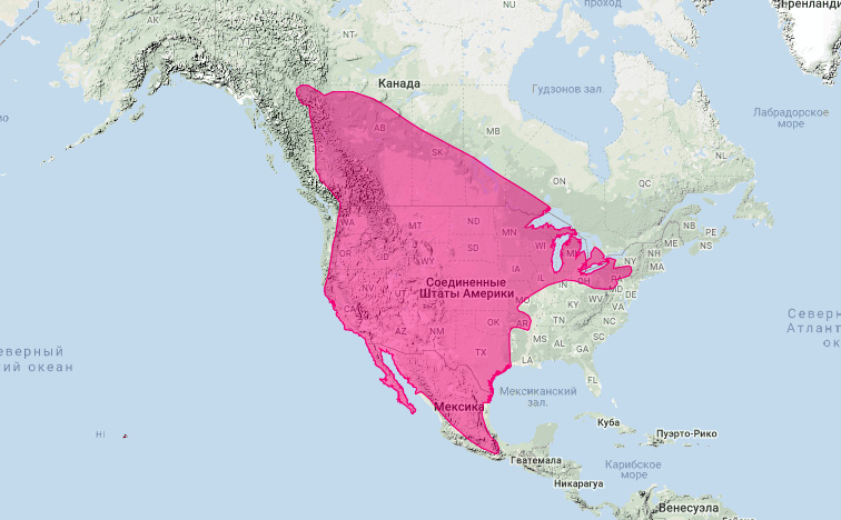 Американский барсук (Taxidea taxus) Ареал обитания на карте