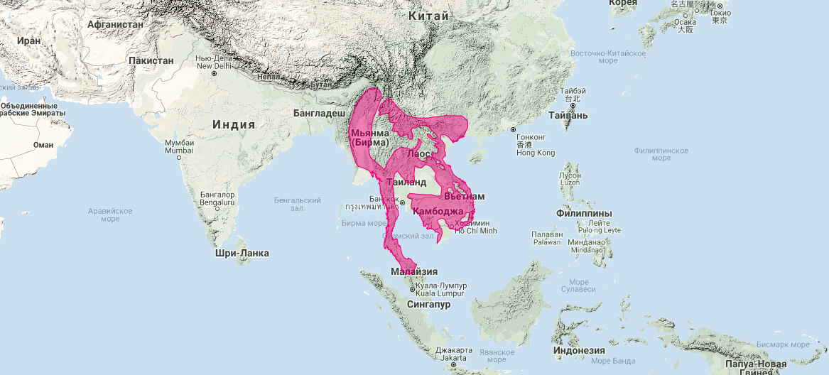 Крупнопятнистая цивета (Viverra megaspila) Ареал обитания на карте