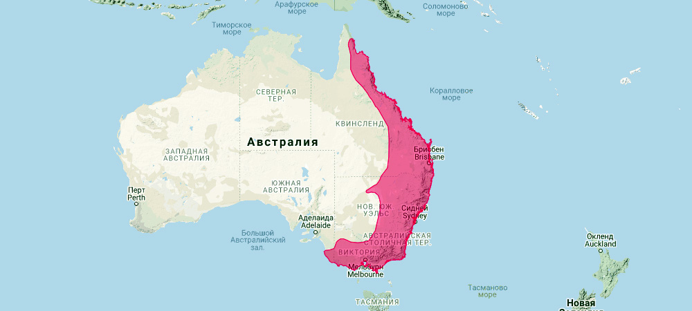 Болотный валлаби (Wallabia bicolor) Ареал обитания на карте